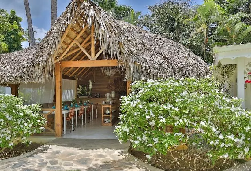 هتل Mahona Bed & Breakfast