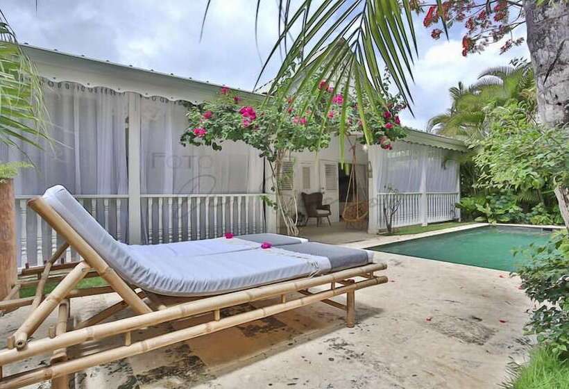 هتل Mahona Bed & Breakfast