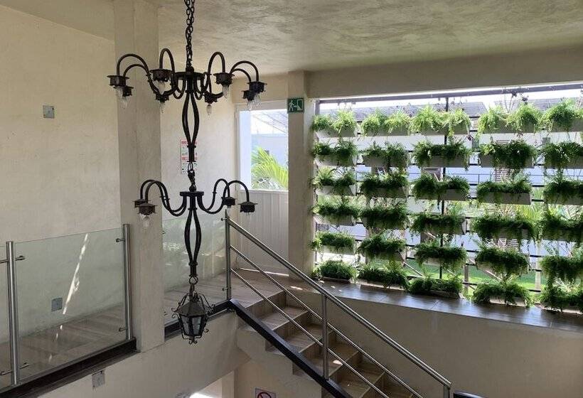 هتل Posada Las Asadas