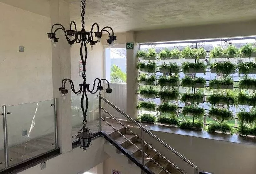 ホテル Posada Las Asadas