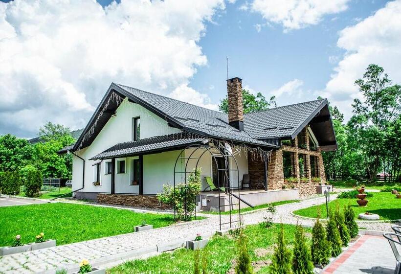Pensiunea Arc Bucovina