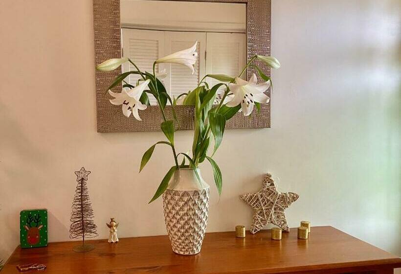 צימר Fantail Hill