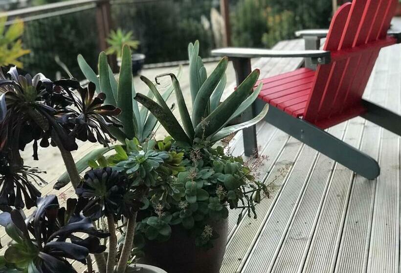 צימר Fantail Hill