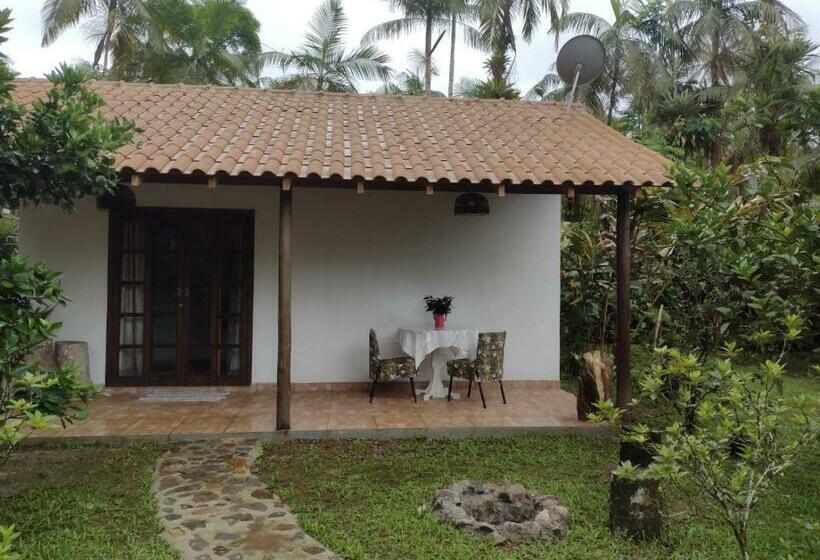 Pansiyon Armazém Do Porto, Chalé Azaléia