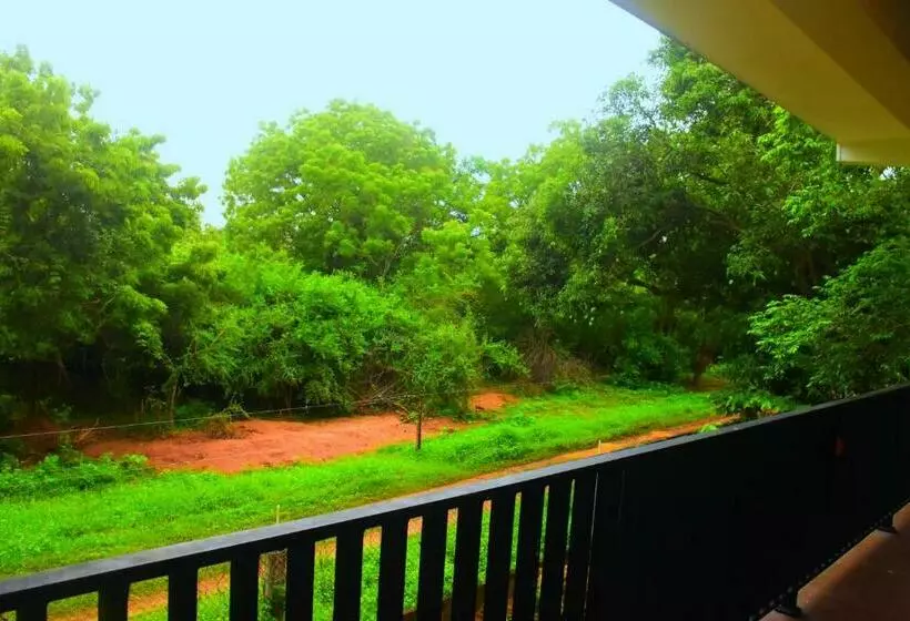 پانسیون Forest Dew Udawalawa