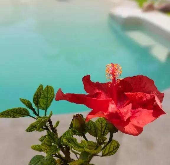 Bed and Breakfast Teki Sha Home&suites