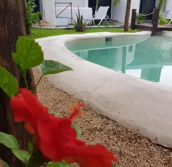 Bed and Breakfast Teki Sha Home&suites