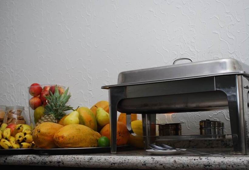 Отель Ilha Palace