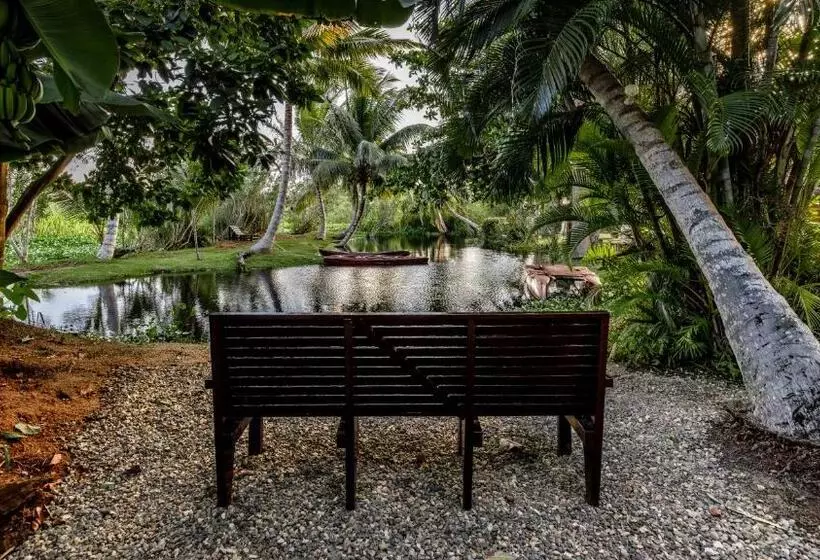 هتل Kibayo Lagoon Villa