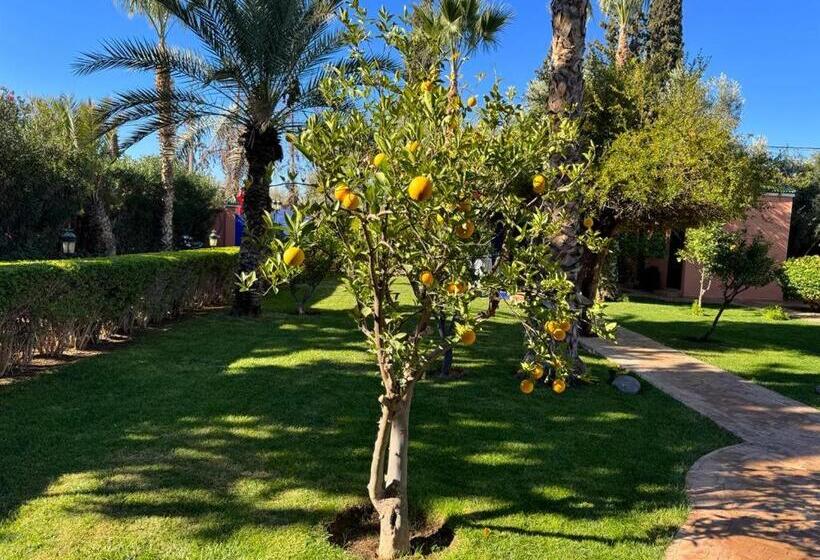 پانسیون Riad Redwan