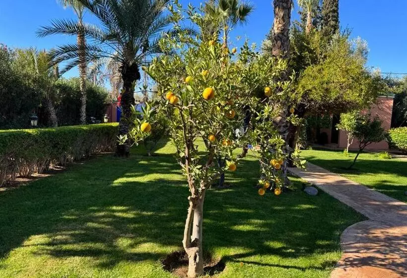 Majatalo Riad Redwan