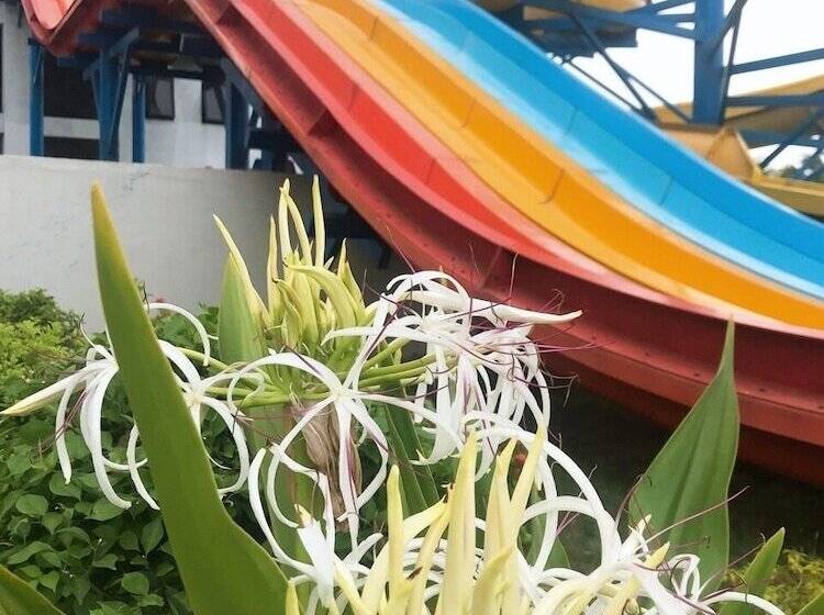 هتل Ninh Binh Tulip