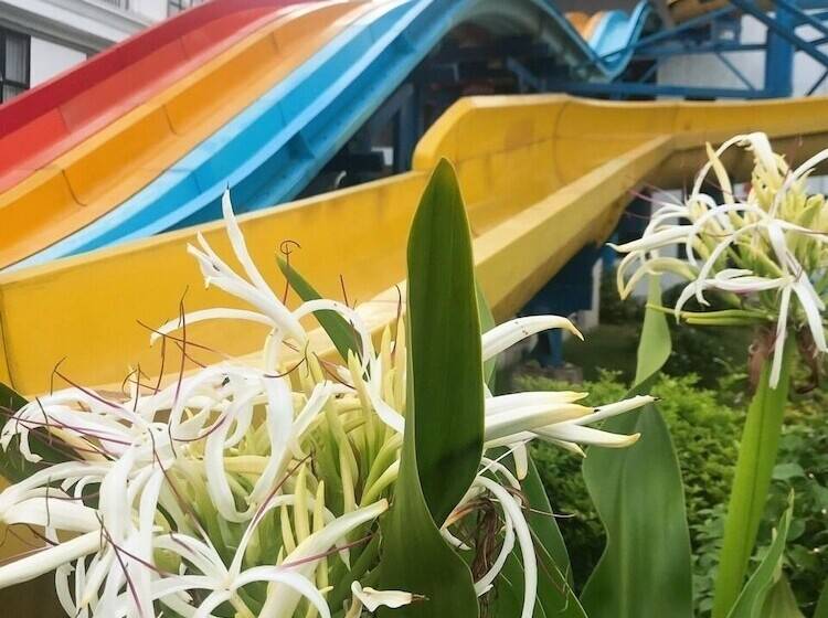 هتل Ninh Binh Tulip