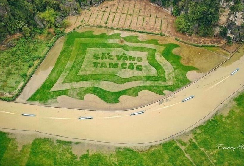 هتل Ninh Binh Tulip