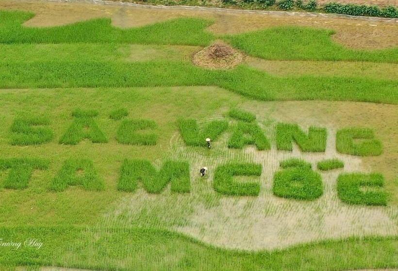 هتل Ninh Binh Tulip