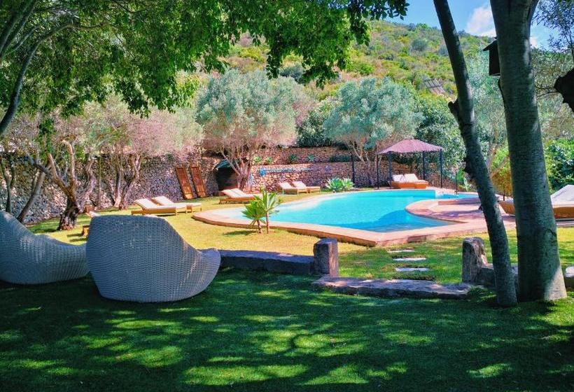 فندق ريفى Castell De La Solana