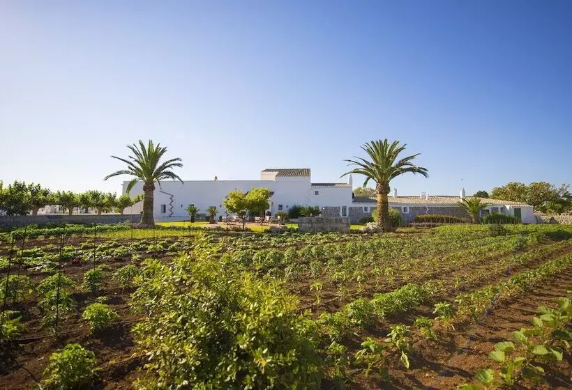Lantligt Hotell Llucmaçanes Gran Agroturismo