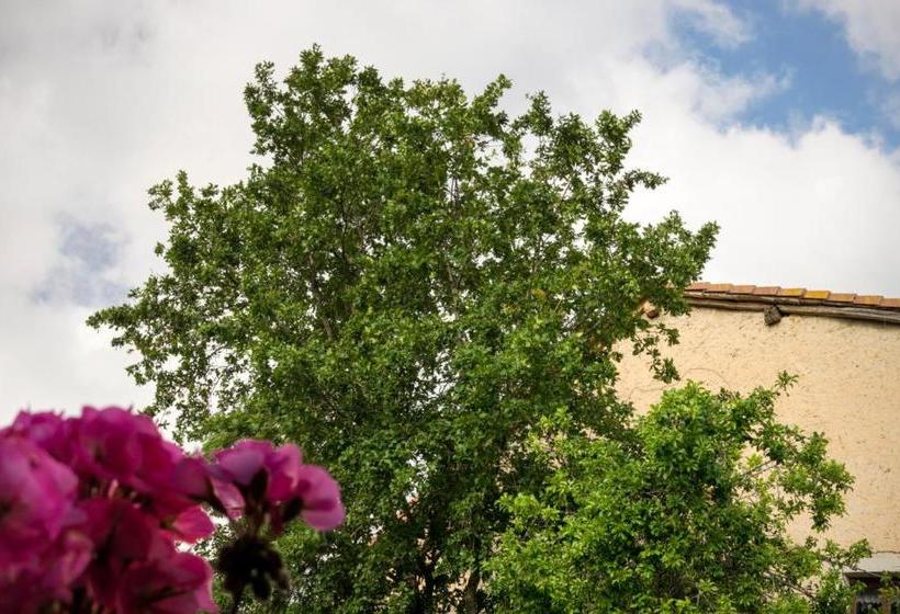 בית מלון כפרי Posada El Prado Mayor