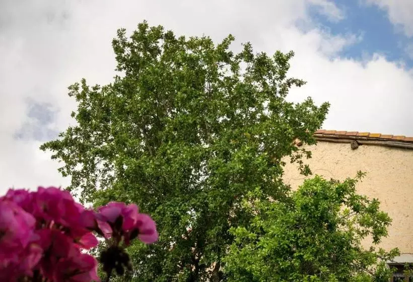 교외 호텔 Posada El Prado Mayor