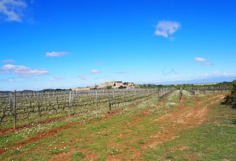 Hotel Rural Vilosell Wine