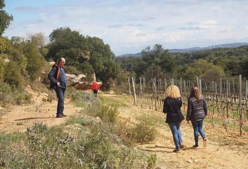 Hotel Rural Vilosell Wine