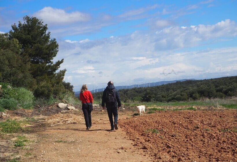 Сельский отель Vilosell Wine