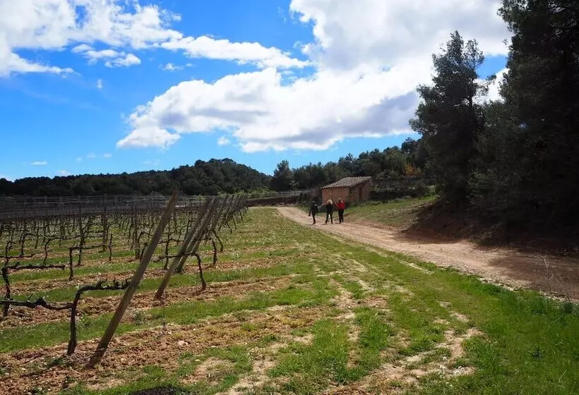 Hotel Rural Vilosell Wine