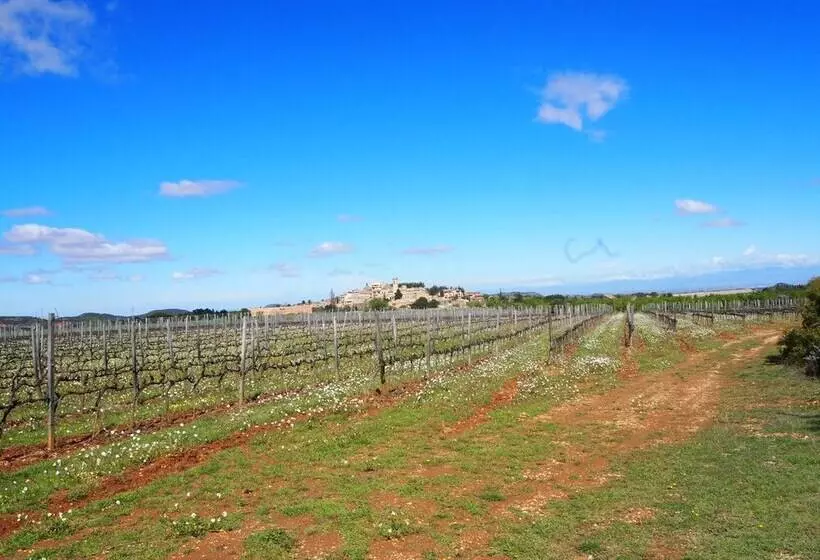 Hotel Rural Vilosell Wine