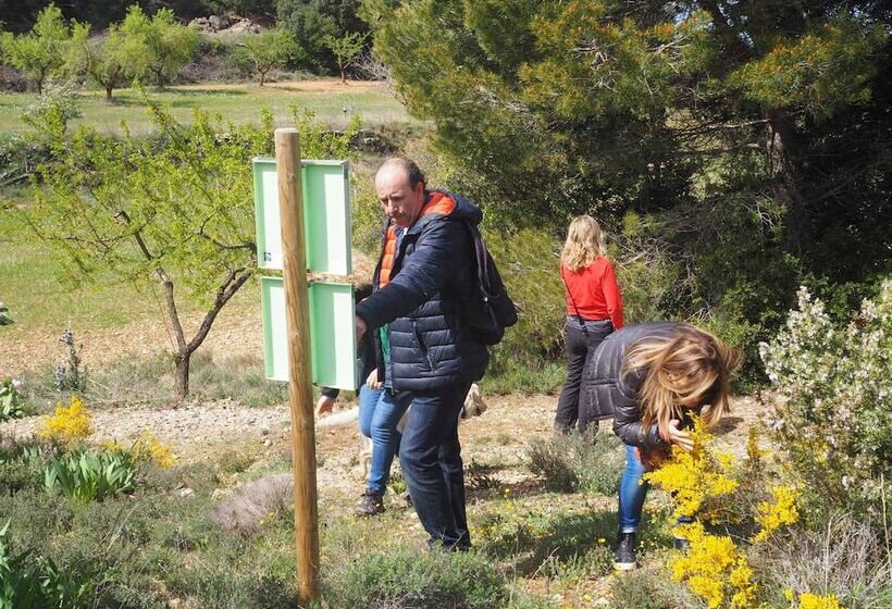 Сельский отель Vilosell Wine