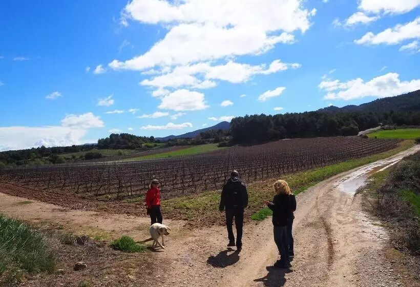 Hotel Rural Vilosell Wine