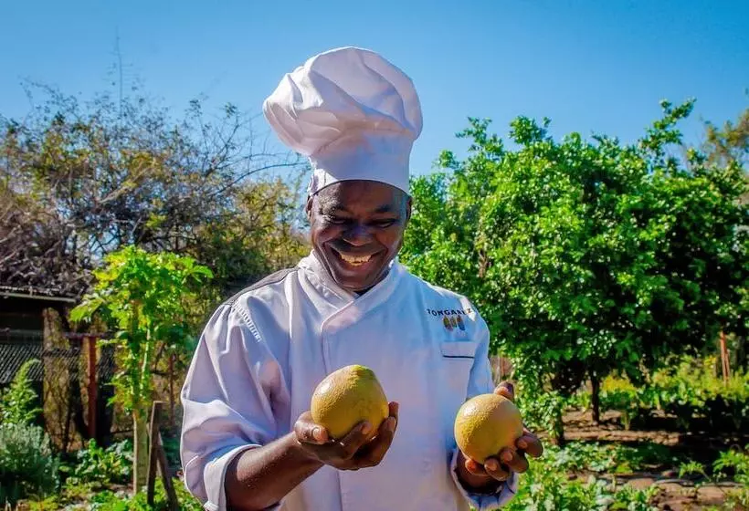 هتل Tongabezi Lodge