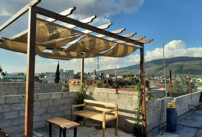 Cactus B&b Terraza