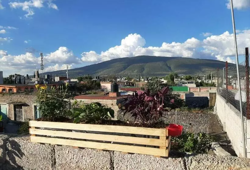 Cactus B&b Terraza