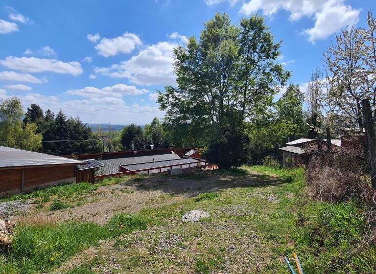 ペンション Cerveceria Y Hosteria Lican