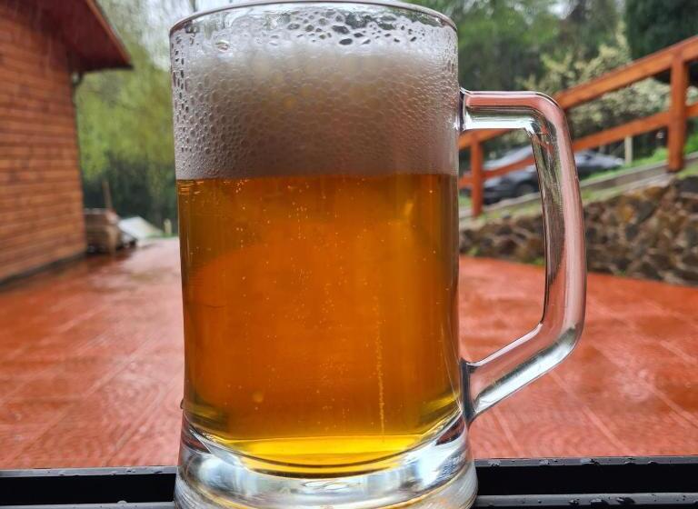 ペンション Cerveceria Y Hosteria Lican