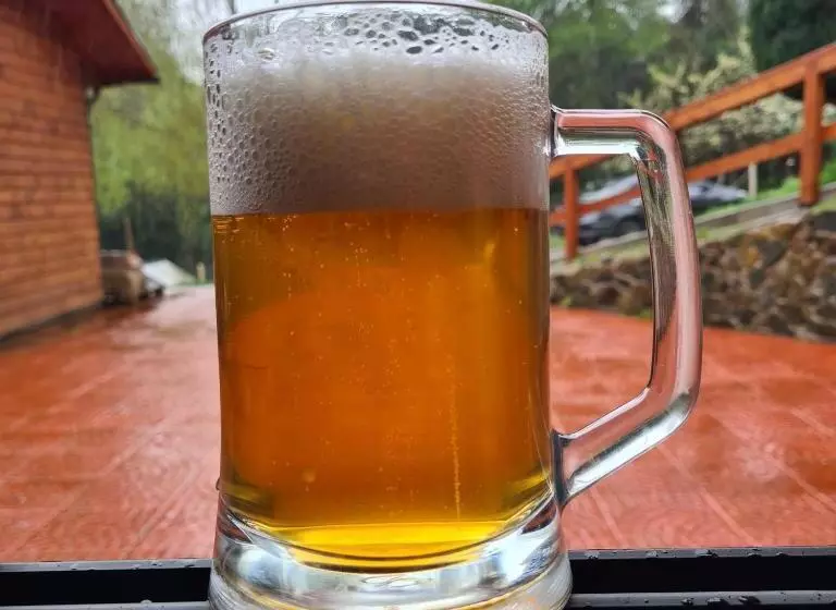 پانسیون Cerveceria Y Hosteria Lican