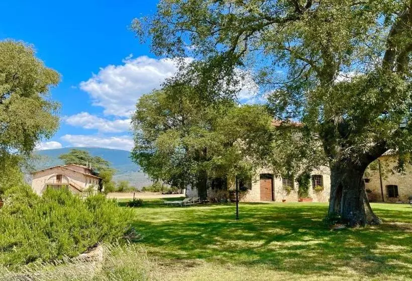 ホテル Exclusive Pool Open All Year Spoleto Biofarm Slps 8 Village Shops, Bar1 Km 7