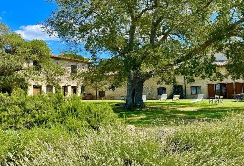 ホテル Exclusive Pool Open All Year Spoleto Biofarm Slps 8 Village Shops, Bar1 Km 7
