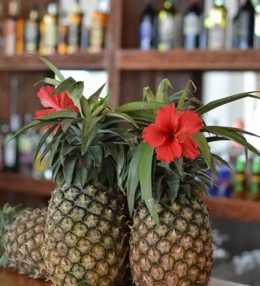 Hotelli Karibu Beach Resort