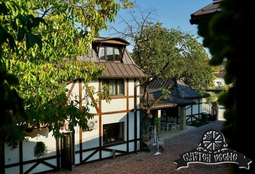 פנסיון Curtea Veche