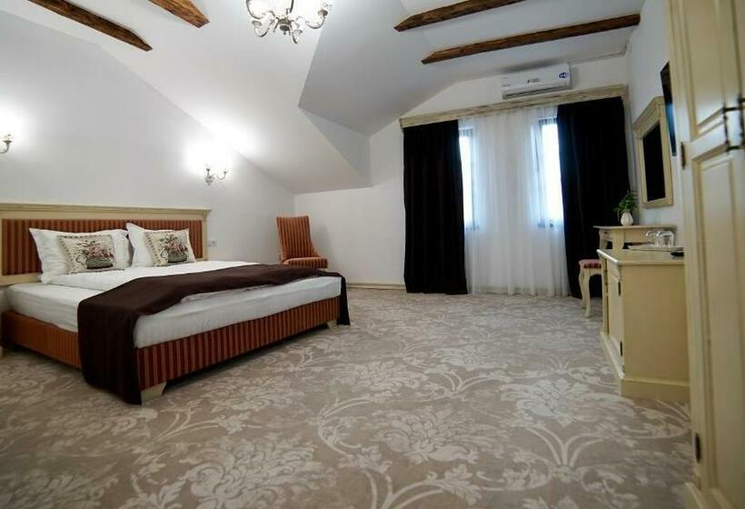 פנסיון Curtea Veche