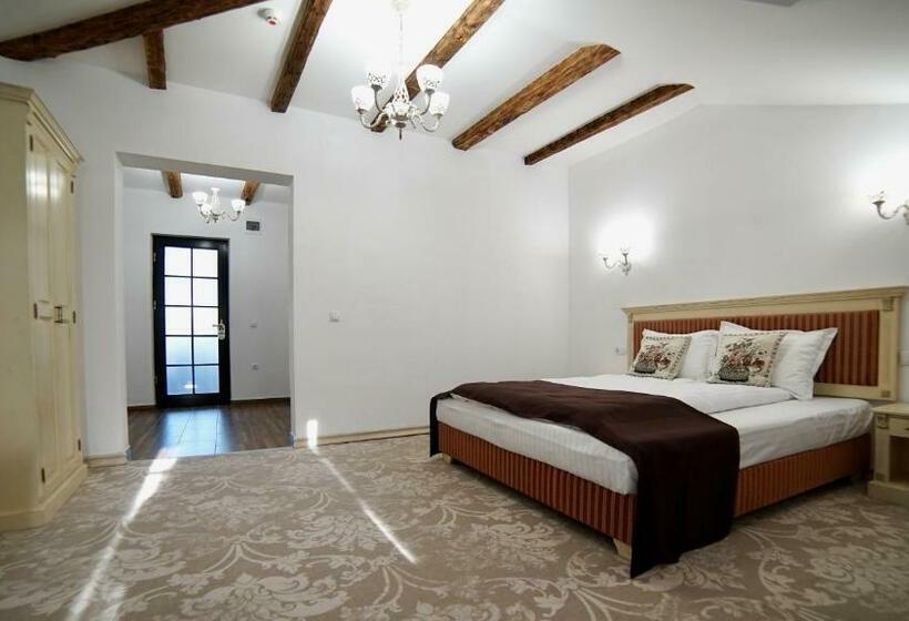 פנסיון Curtea Veche