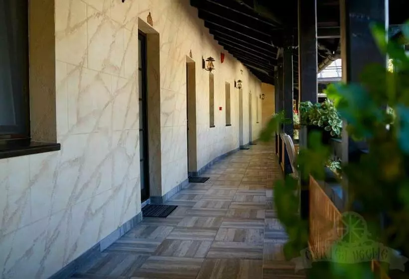 پانسیون Curtea Veche