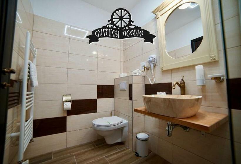 פנסיון Curtea Veche