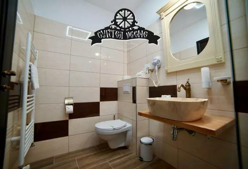 پانسیون Curtea Veche