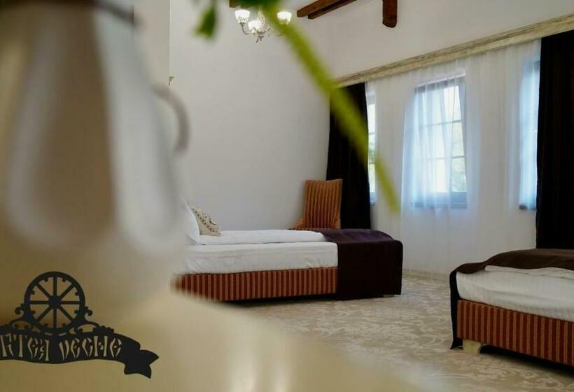 פנסיון Curtea Veche