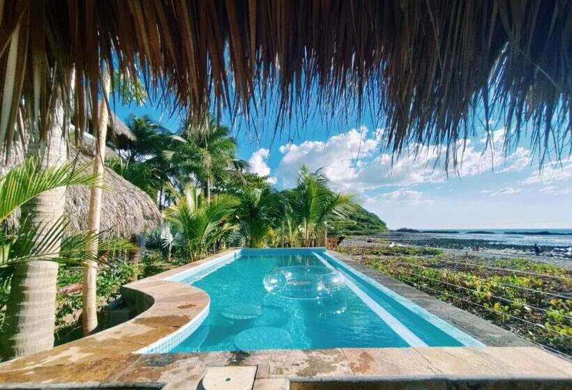 هتل Alive Beach House