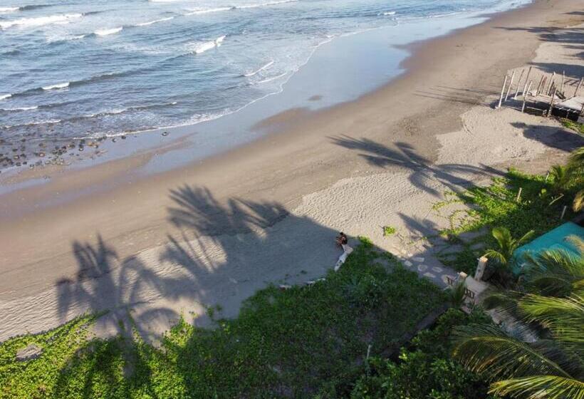 هتل Alive Beach House