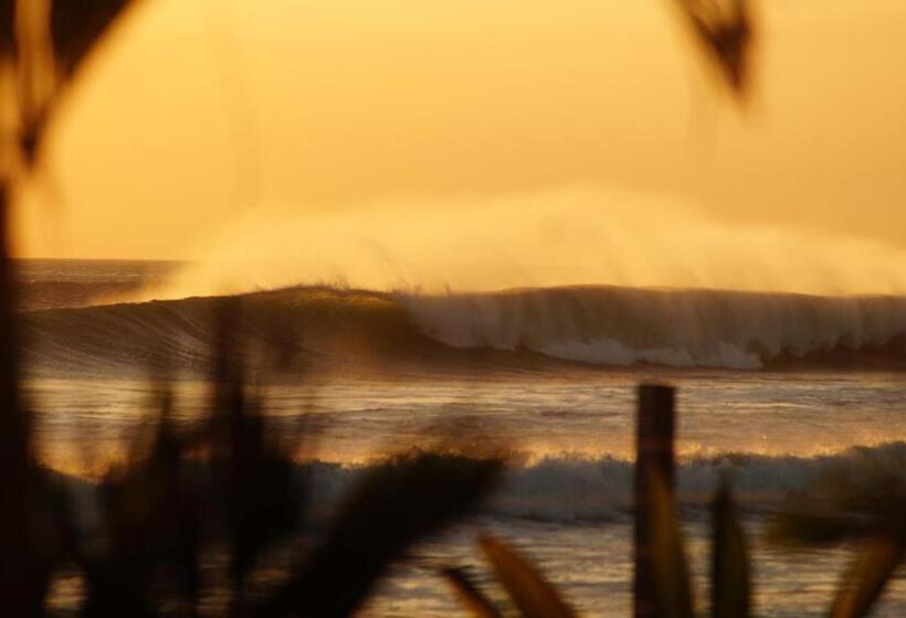 هتل Alive Beach House