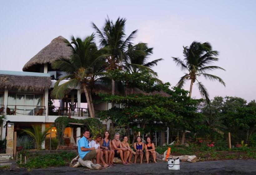 هتل Alive Beach House